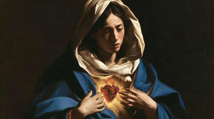 The Immaculate Heart of Mary — The Heart Within the Folded Veil