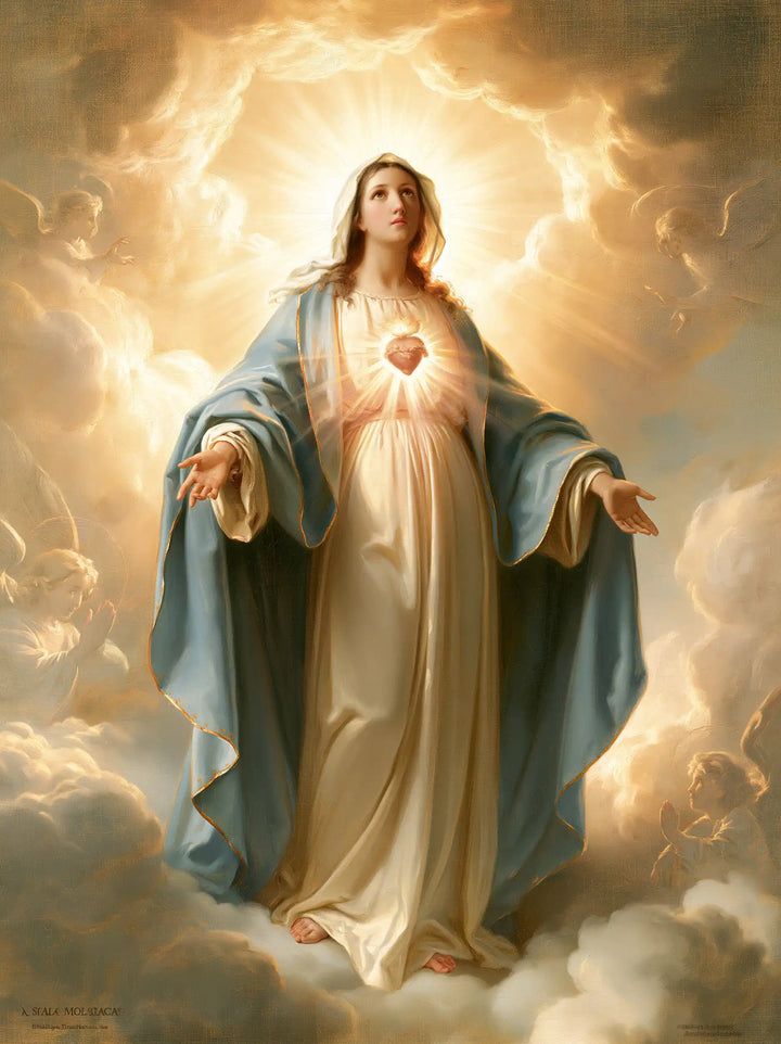Immaculate Heart of Mary - Sacred Monumental View · Portrait n° 9