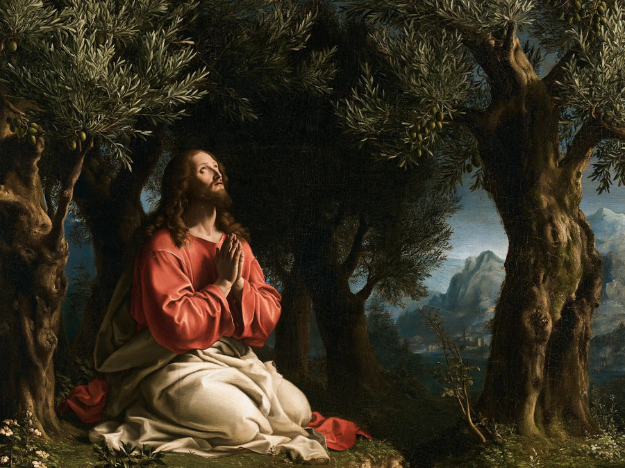 Jesus in Gethsemane - Florentine Renaissance · Landscape n° 3