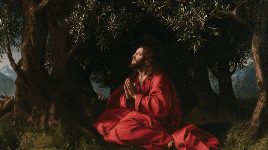 Jesus in Gethsemane — Red beneath the Olive Canopy