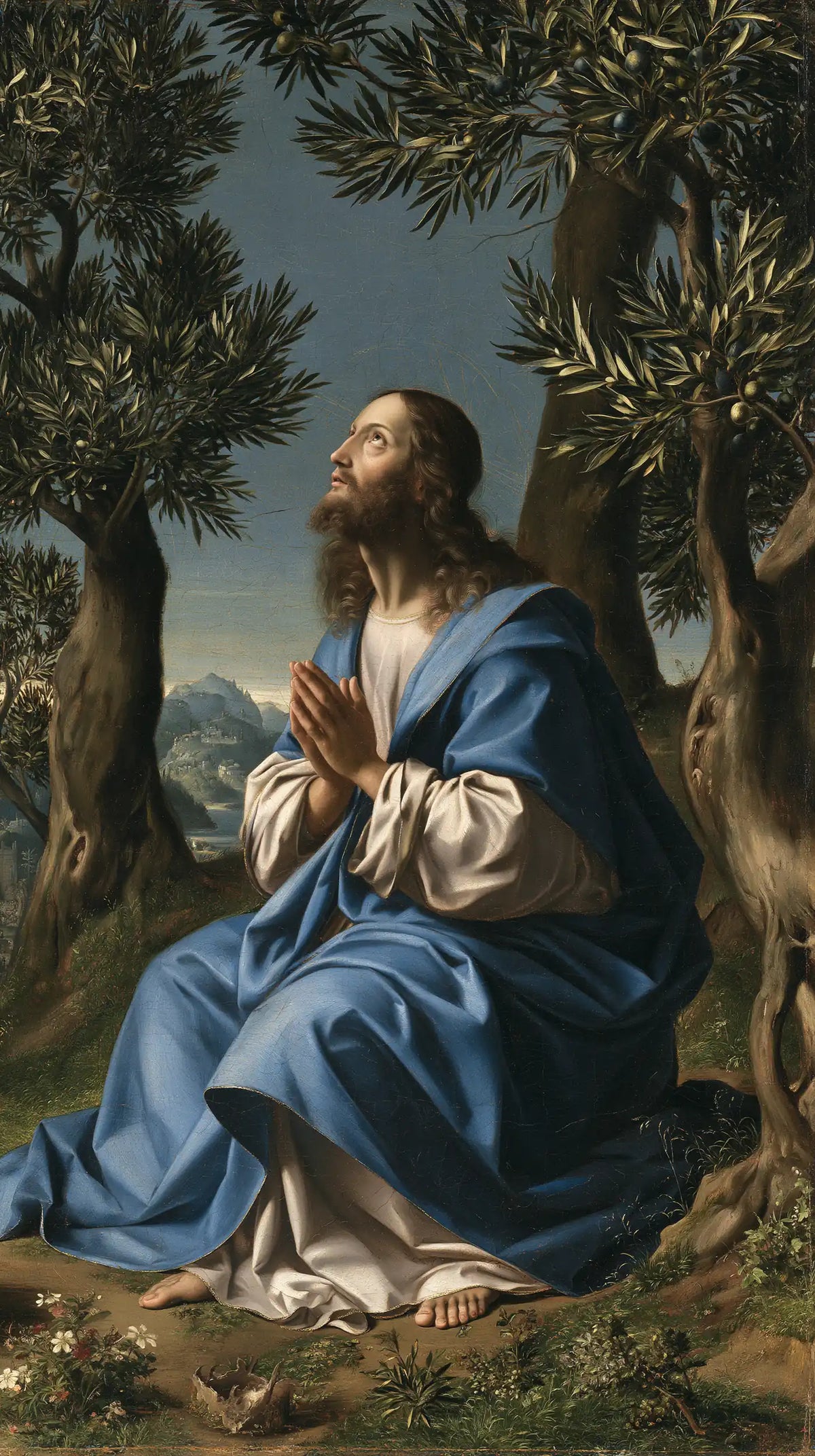 Jesus in Gethsemane — White Sheltered beneath Azure